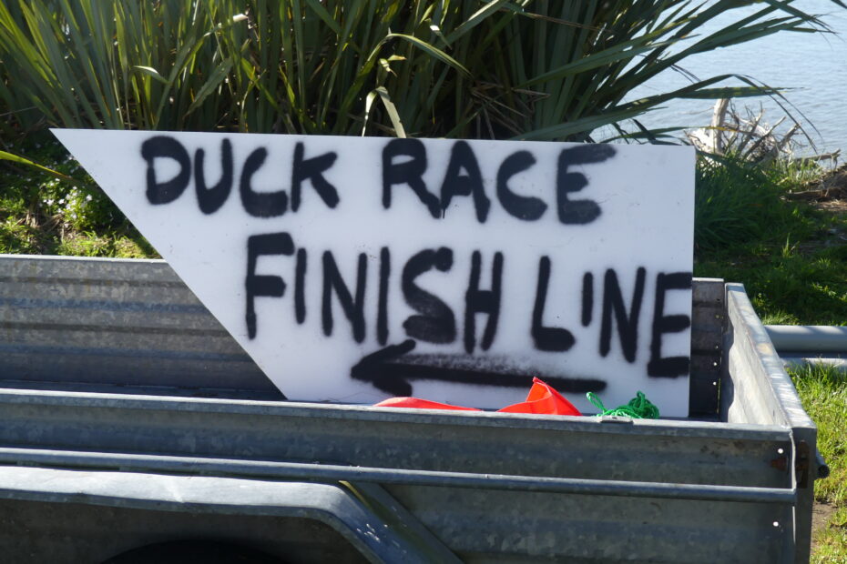 Westport Duck Dive Race