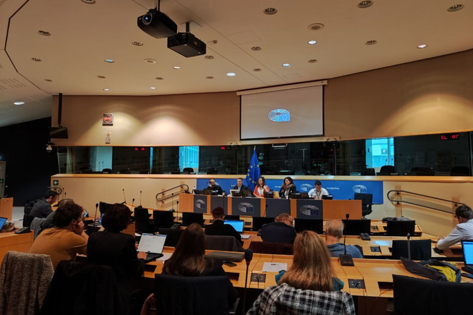 Panel debate in the European Parliament